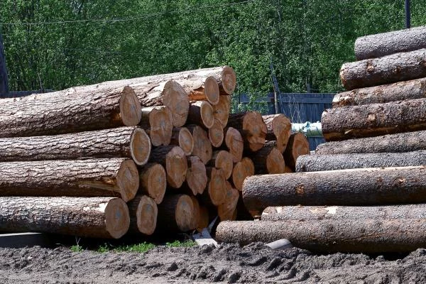 Top 10 Import Markets for Coniferous Wood in the Rough